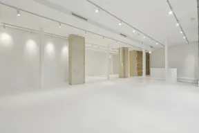 Incroyable Galerie au coeur du Paris Culturel - Image 4