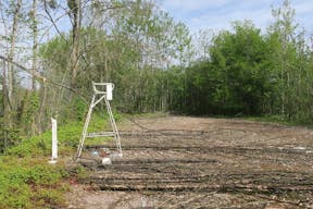 Ch�teau du XVIIIe si�cle abandonn� - Image 6