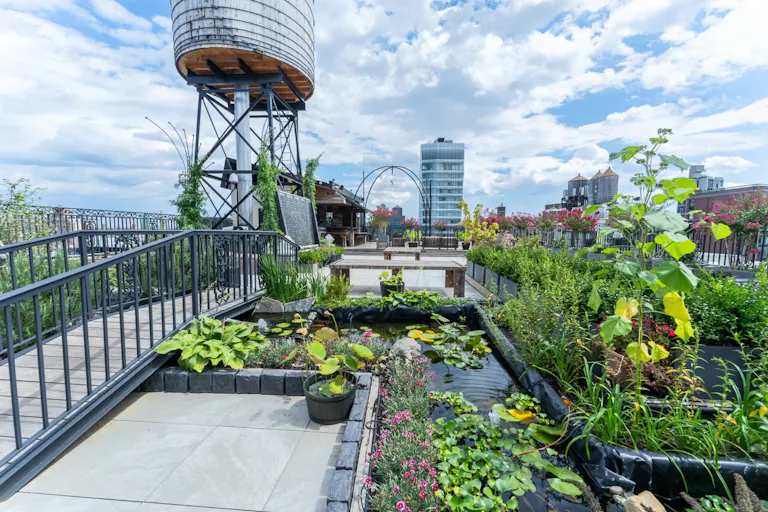 Noho Rooftop - Image 1