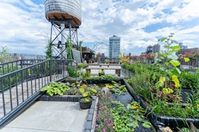 Noho Rooftop - Image 1