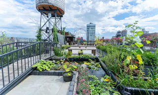 Noho Rooftop - Image 1