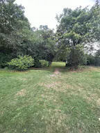 Décor/Lieu de tournage: Forêt Privée - Image 6