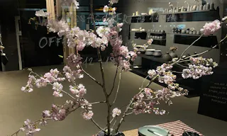 Perfect Pop Up Berlin Central - Image 18