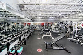 High End, State of The Art Fitness Facility (Gym) in Hot East Fort Lauderdale Location - Image 3