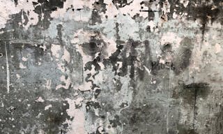 Three Historic Parisian Ateliers - Image 11