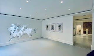 Galerie - Situ� dans le Haut Marais - Image 0