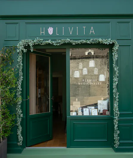 Holivita _ Atelier de plantes médicinales - Image 0