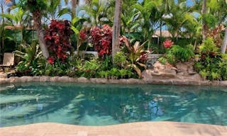 Tropical Beach style Oasis - Image 0