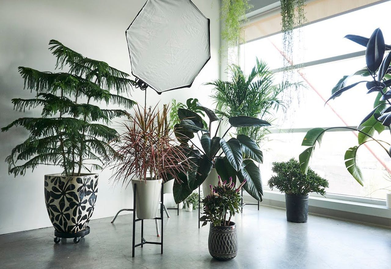 Chic SoHo Studio Space - Image 2