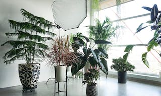 Chic SoHo Studio Space - Image 2