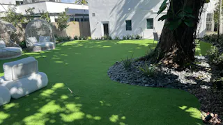 Beautifully Landscaped Backyard at Luxurious MedSpa - Design District - WiFi and Built-in Sound System - Image 4