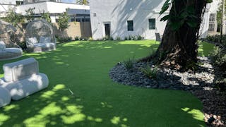 Beautifully Landscaped Backyard at Luxurious MedSpa - Design District - WiFi and Built-in Sound System - Image 4