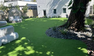 Beautifully Landscaped Backyard at Luxurious MedSpa - Design District - WiFi and Built-in Sound System - Image 4