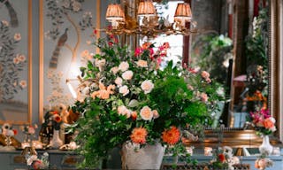 Maxwell Tribeca - Image 6