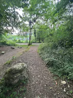Décor/Lieu de tournage: Forêt Privée - Image 9
