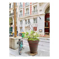Boutique Ephémère en face des Bains, au coeur du Marais - Image 7