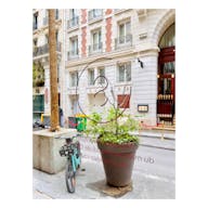 Boutique Ephémère en face des Bains, au coeur du Marais - Image 7