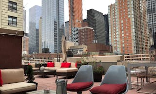 Beautiful Midtown Manhattan Terrace - Image 4