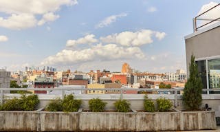 Bright Williamsburg Duplex Penthouse - Image 5