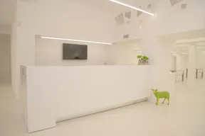 Affitto Temporaneo Milano per Showroom Versatile - Image 4