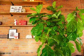 Converted Gas Station in Sloan's Lake - Image 2