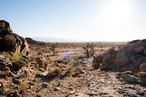 Desert Land Space - Image 37