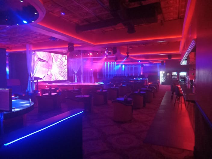 Chic Exotic Lounge - Image 2