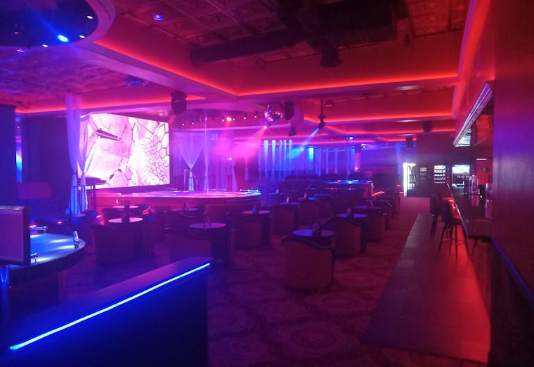 Chic Exotic Lounge - Image 2