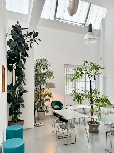 Bright Loft: 450 sqm Versatile Industrial Space with Stunning Daylight and Minimalist Design - Image 2