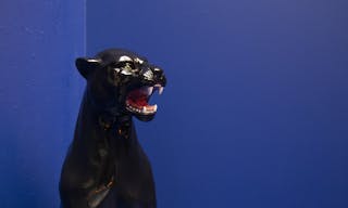 Spazio multifunzionale sui Navigli a Milano - Image 21