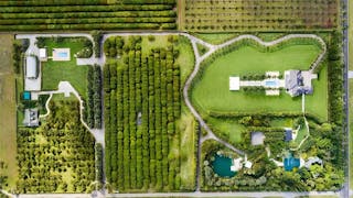 Tranquil Oasis Retreat with Lush Gardens and Modern Amenities Near Miami - Image 6