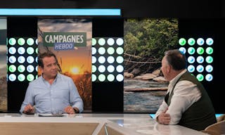 Plateau talk show - Image 4