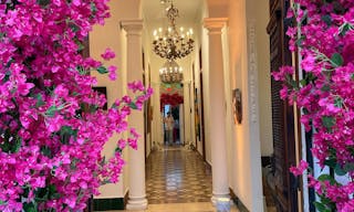 Miami's Enchanted Cuban Landmark Event Space Oasis - Image 11