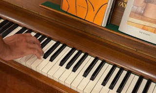 West Village Storefront + Showroom Gallery—Sunlit + Design Led - Image 6