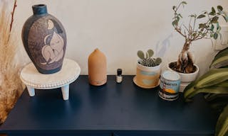 Plant-filled Community Space in the Marina District - Image 19